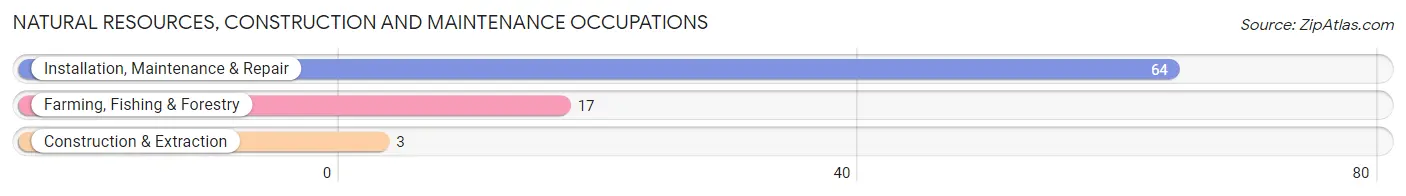 Natural Resources, Construction and Maintenance Occupations in Zip Code 51022