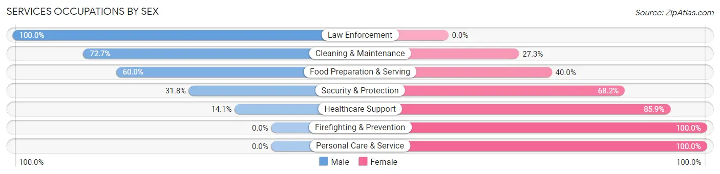 Services Occupations by Sex in Zip Code 51023