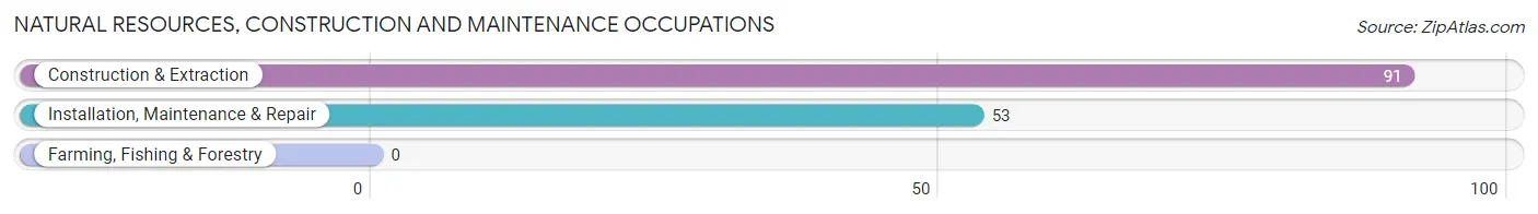 Natural Resources, Construction and Maintenance Occupations in Zip Code 51024