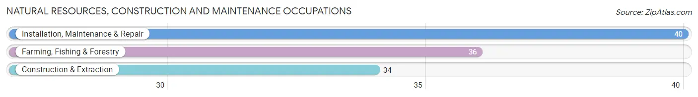 Natural Resources, Construction and Maintenance Occupations in Zip Code 51026