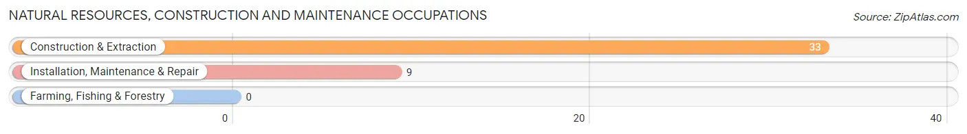 Natural Resources, Construction and Maintenance Occupations in Zip Code 51027