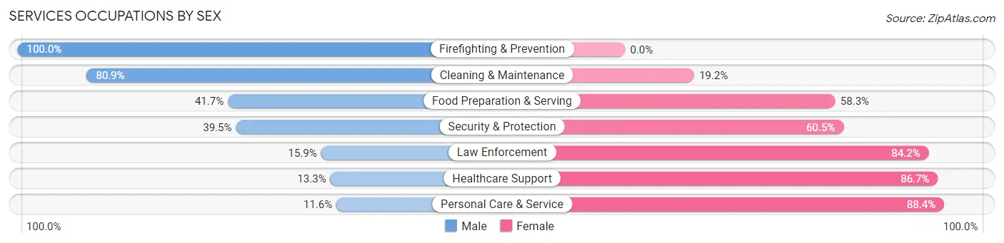 Services Occupations by Sex in Zip Code 51031