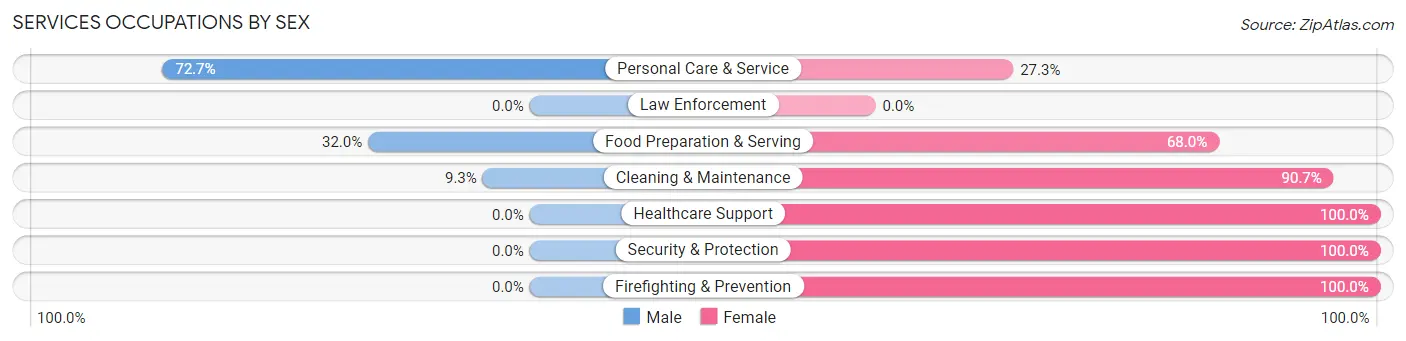 Services Occupations by Sex in Zip Code 51035