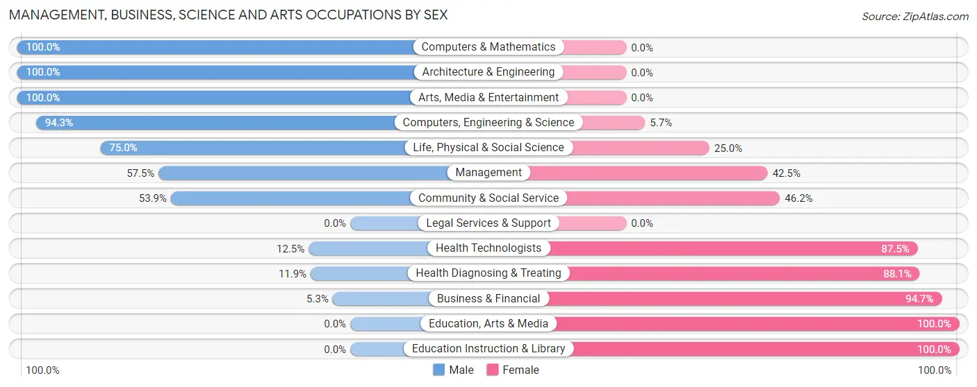 Management, Business, Science and Arts Occupations by Sex in Zip Code 51038