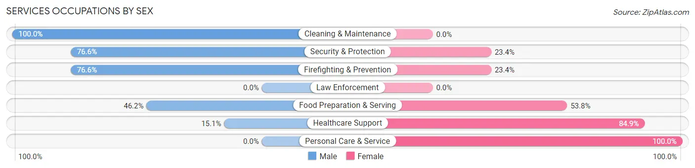 Services Occupations by Sex in Zip Code 51040