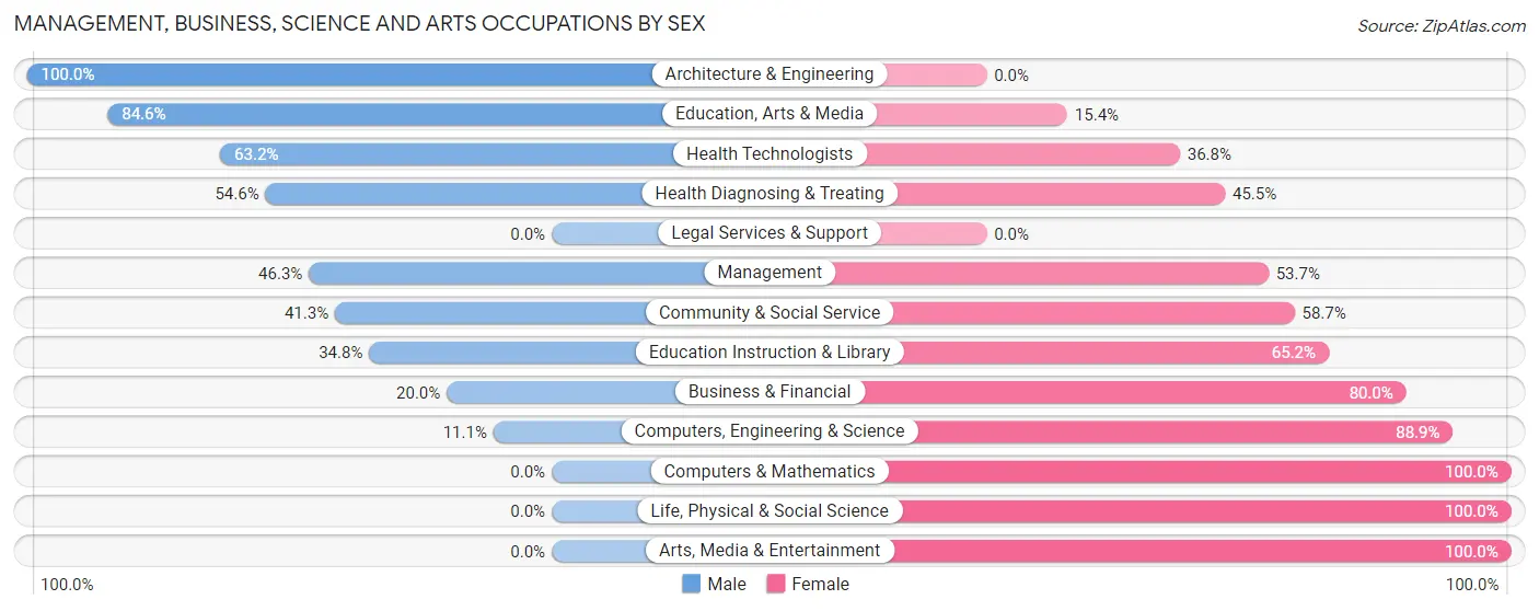 Management, Business, Science and Arts Occupations by Sex in Zip Code 51047
