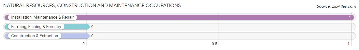 Natural Resources, Construction and Maintenance Occupations in Zip Code 51051