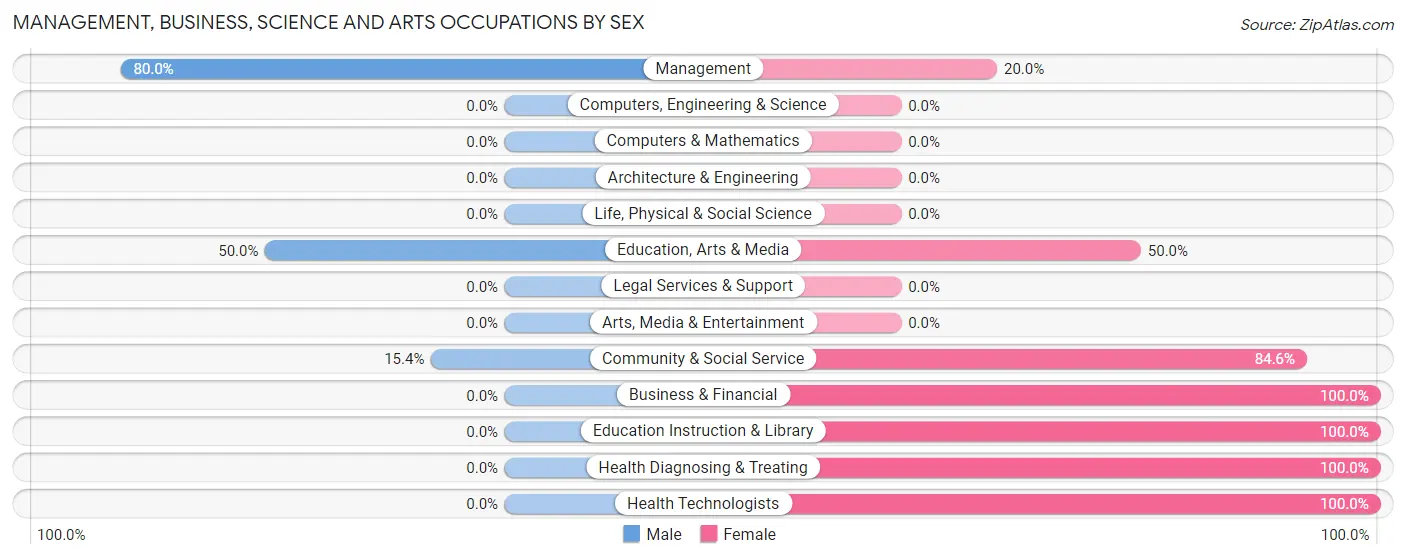 Management, Business, Science and Arts Occupations by Sex in Zip Code 51060