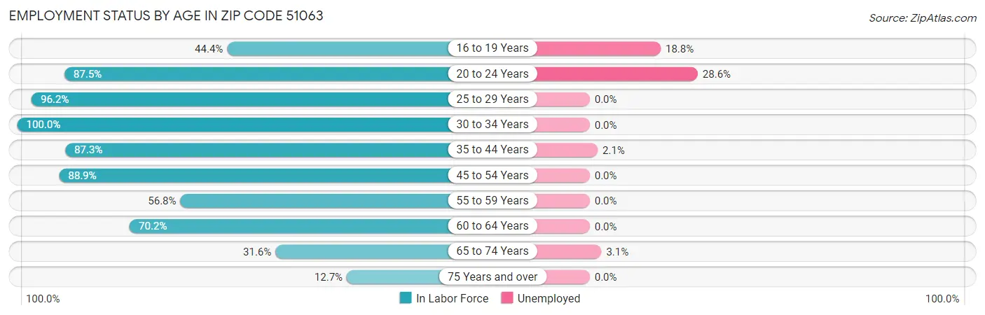 Employment Status by Age in Zip Code 51063
