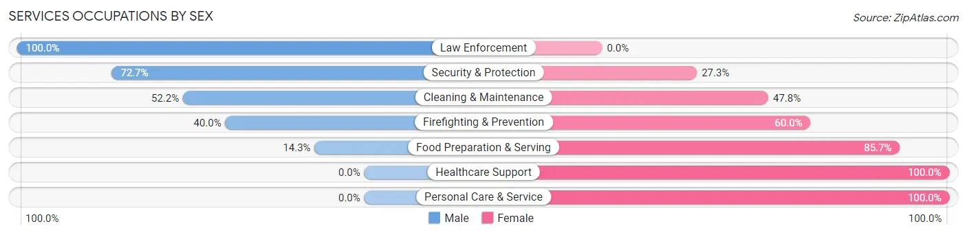 Services Occupations by Sex in Zip Code 51063