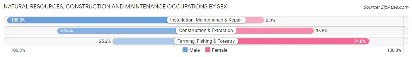Natural Resources, Construction and Maintenance Occupations by Sex in Zip Code 51201