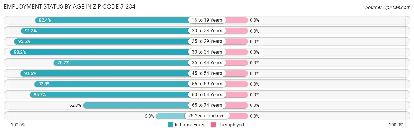 Employment Status by Age in Zip Code 51234