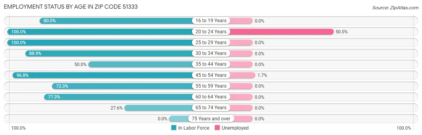 Employment Status by Age in Zip Code 51333