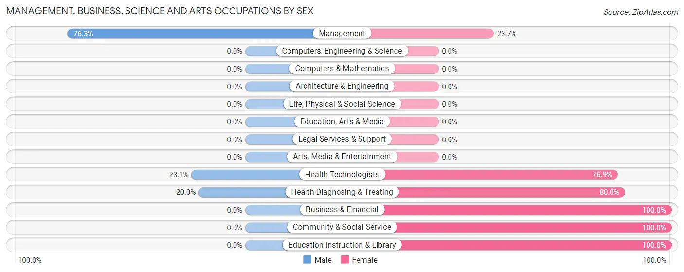Management, Business, Science and Arts Occupations by Sex in Zip Code 51333