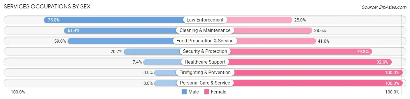 Services Occupations by Sex in Zip Code 51334