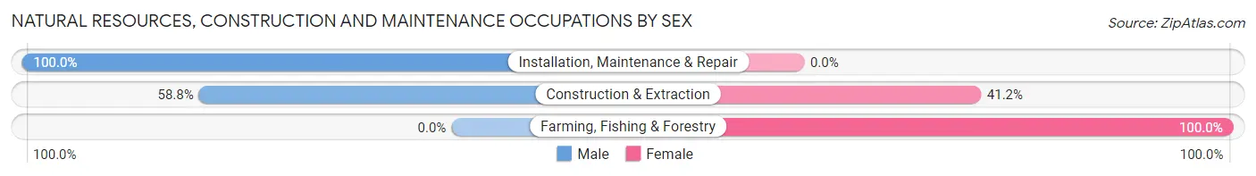 Natural Resources, Construction and Maintenance Occupations by Sex in Zip Code 51345