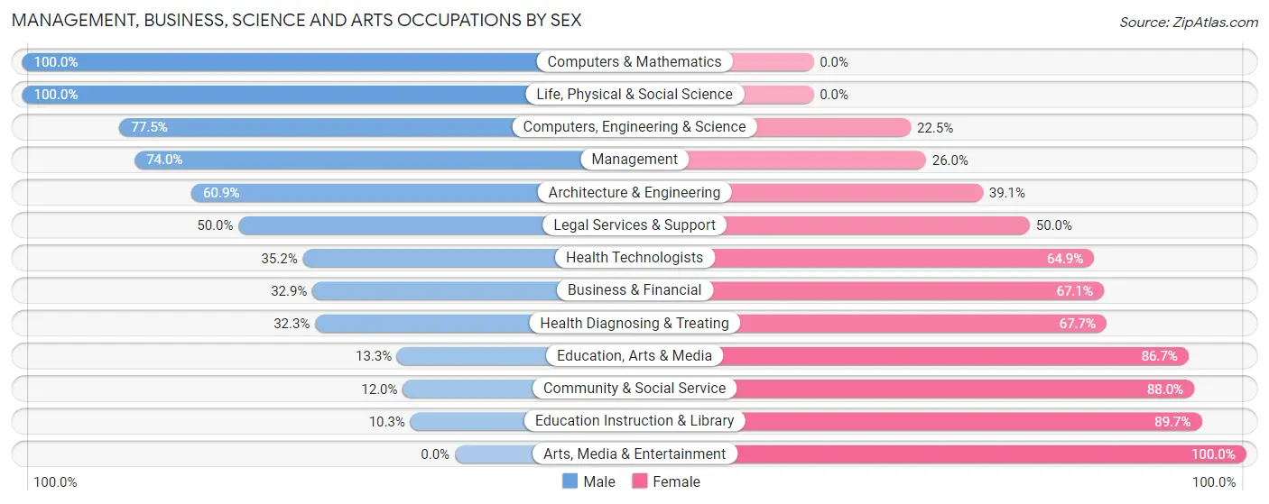 Management, Business, Science and Arts Occupations by Sex in Zip Code 51351