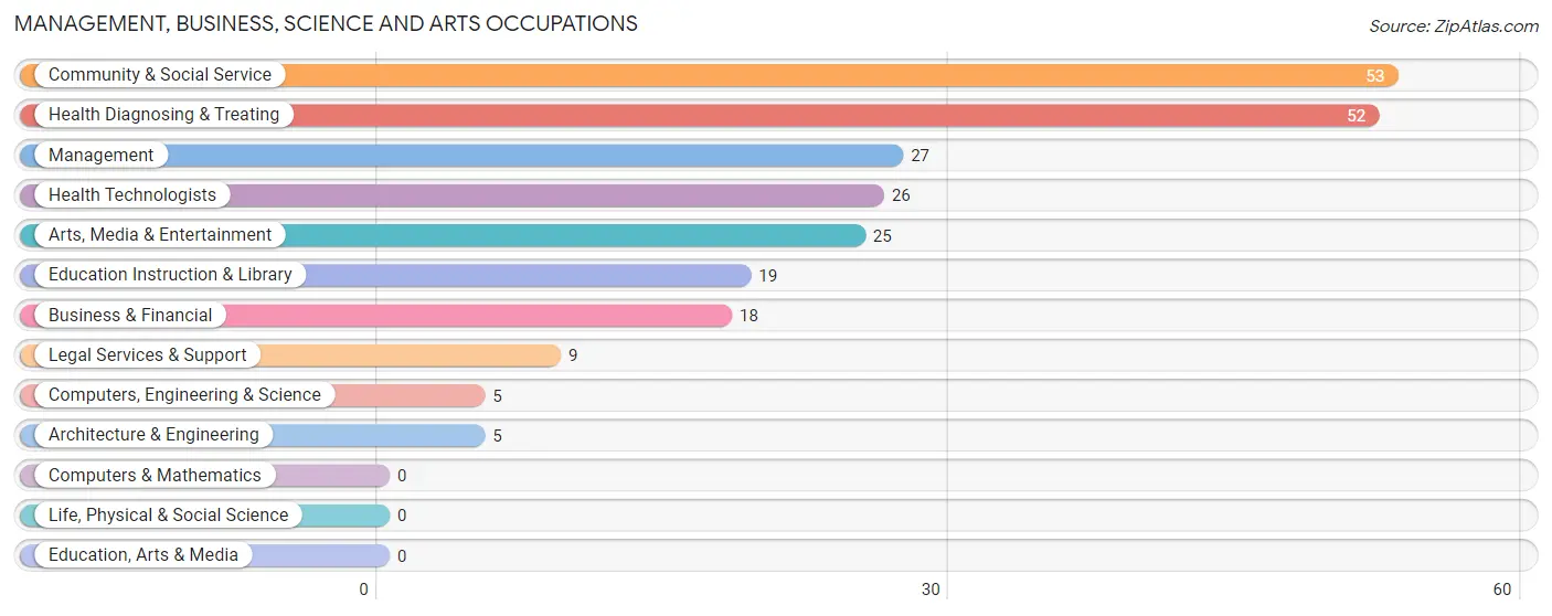 Management, Business, Science and Arts Occupations in Zip Code 51355