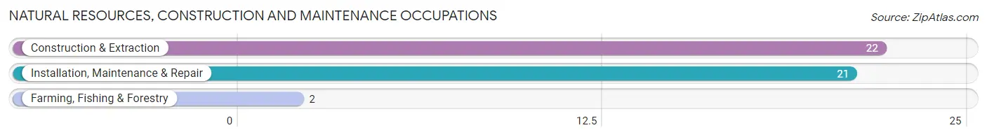 Natural Resources, Construction and Maintenance Occupations in Zip Code 51357