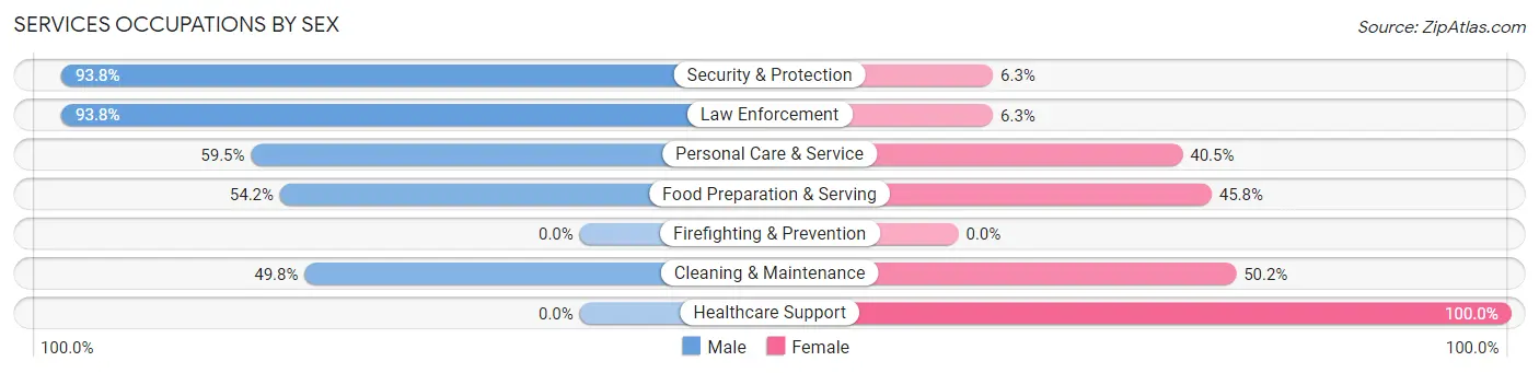 Services Occupations by Sex in Zip Code 51360