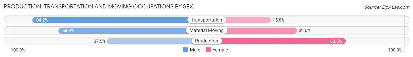 Production, Transportation and Moving Occupations by Sex in Zip Code 51365
