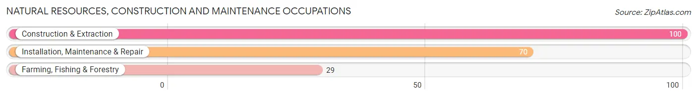 Natural Resources, Construction and Maintenance Occupations in Zip Code 51445