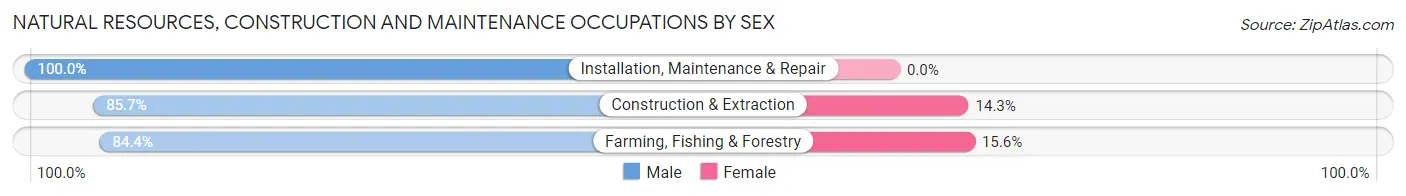 Natural Resources, Construction and Maintenance Occupations by Sex in Zip Code 51450