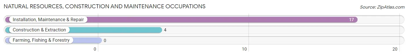 Natural Resources, Construction and Maintenance Occupations in Zip Code 51533