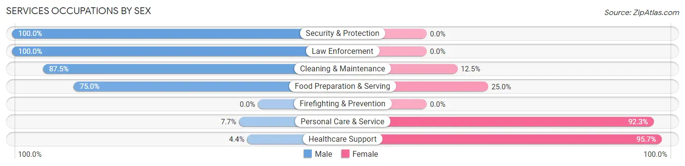 Services Occupations by Sex in Zip Code 51533