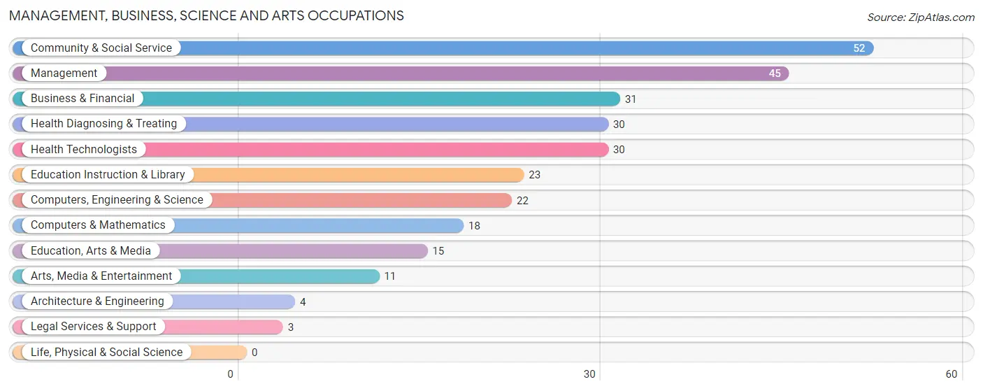 Management, Business, Science and Arts Occupations in Zip Code 51553