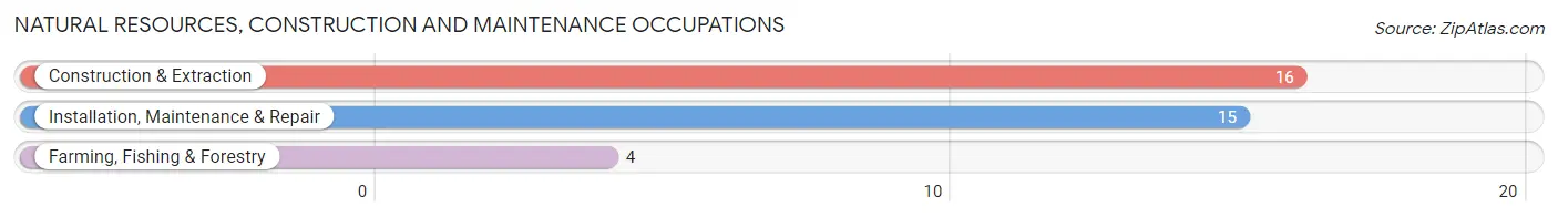 Natural Resources, Construction and Maintenance Occupations in Zip Code 51565