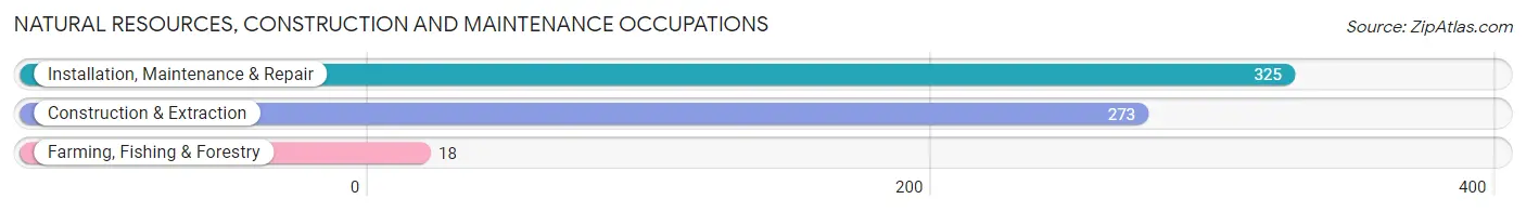 Natural Resources, Construction and Maintenance Occupations in Zip Code 52003