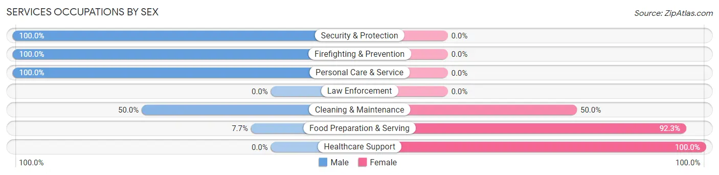 Services Occupations by Sex in Zip Code 52030