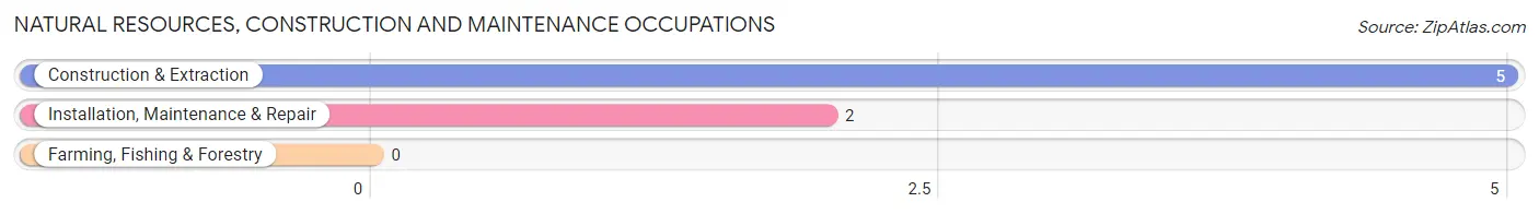 Natural Resources, Construction and Maintenance Occupations in Zip Code 52036