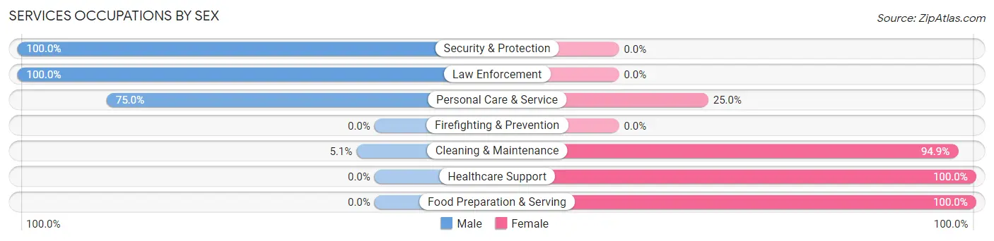 Services Occupations by Sex in Zip Code 52039