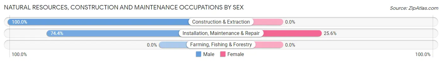 Natural Resources, Construction and Maintenance Occupations by Sex in Zip Code 52040