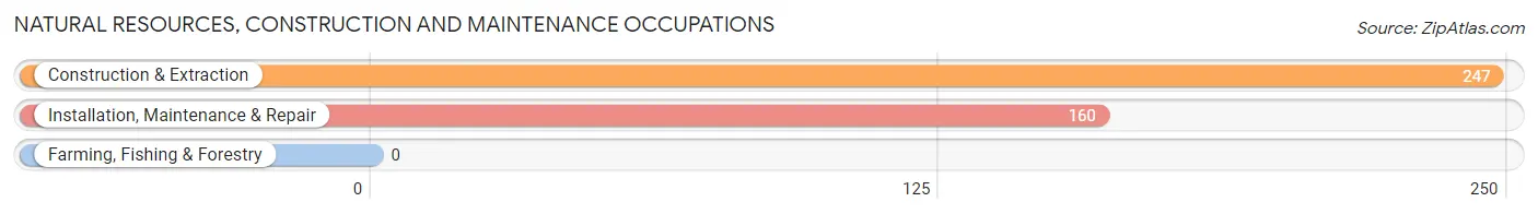 Natural Resources, Construction and Maintenance Occupations in Zip Code 52040