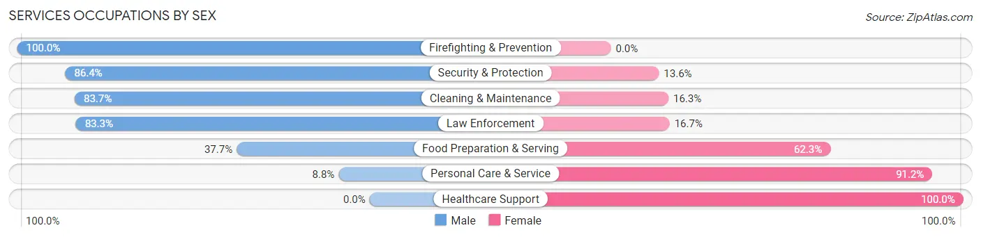 Services Occupations by Sex in Zip Code 52040