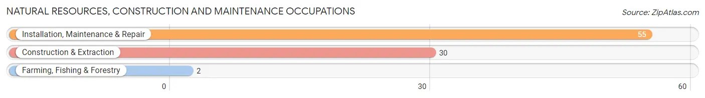 Natural Resources, Construction and Maintenance Occupations in Zip Code 52047