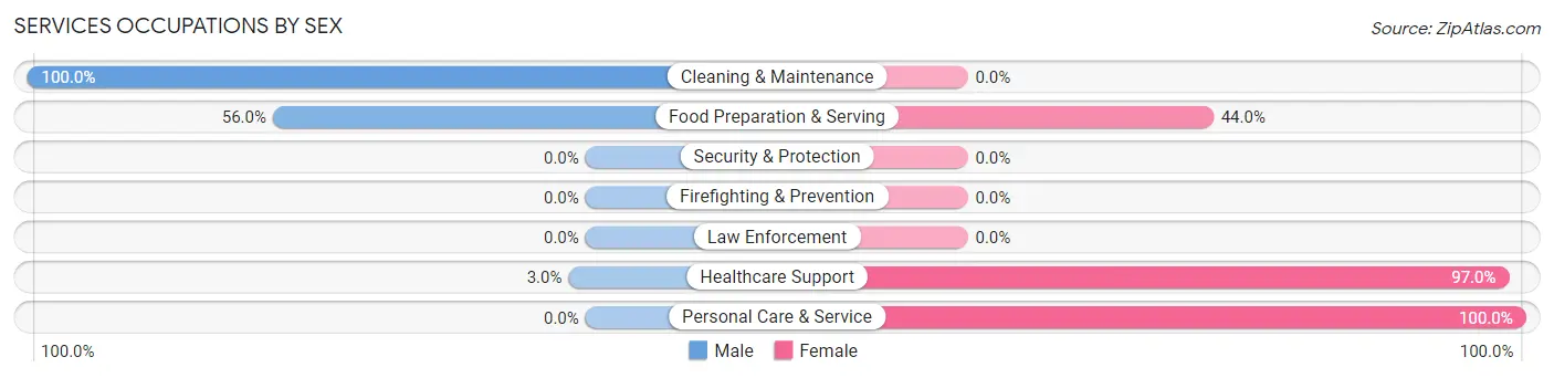 Services Occupations by Sex in Zip Code 52049