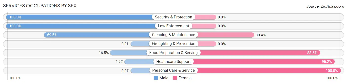 Services Occupations by Sex in Zip Code 52057