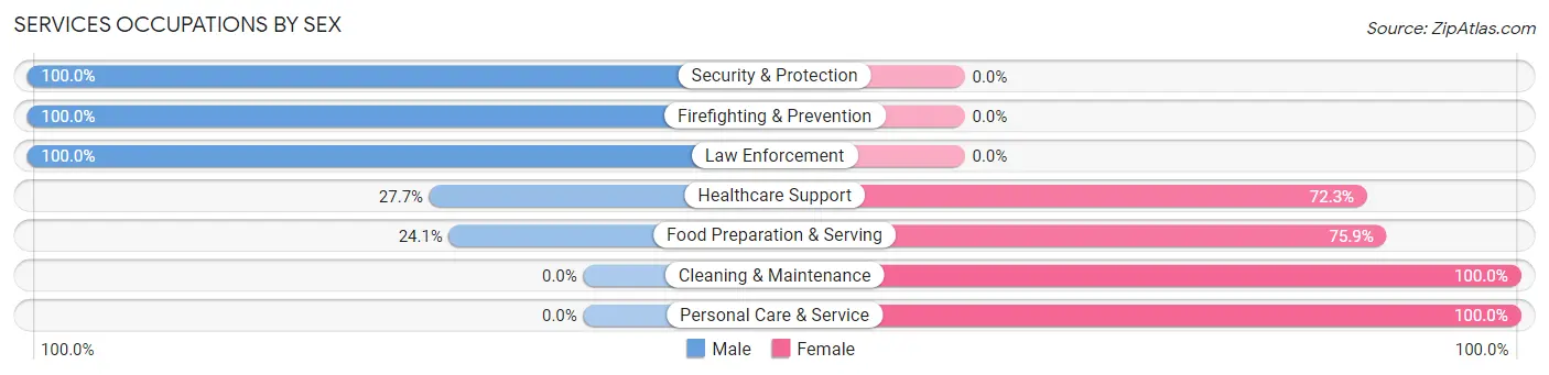 Services Occupations by Sex in Zip Code 52070