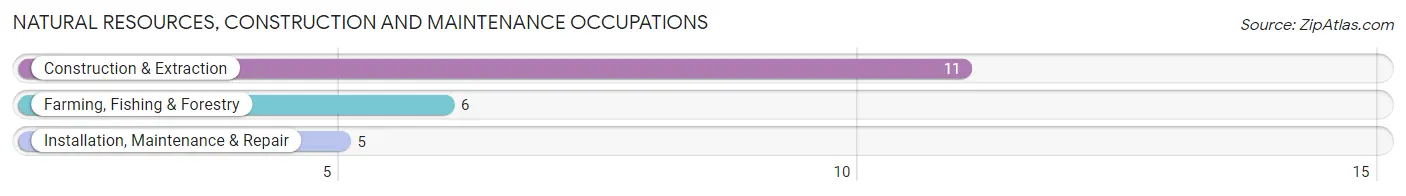 Natural Resources, Construction and Maintenance Occupations in Zip Code 52072