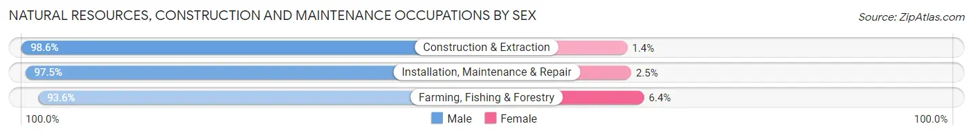 Natural Resources, Construction and Maintenance Occupations by Sex in Zip Code 52101