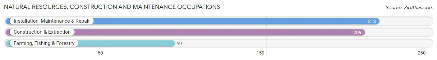 Natural Resources, Construction and Maintenance Occupations in Zip Code 52136