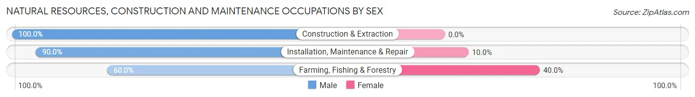 Natural Resources, Construction and Maintenance Occupations by Sex in Zip Code 52142