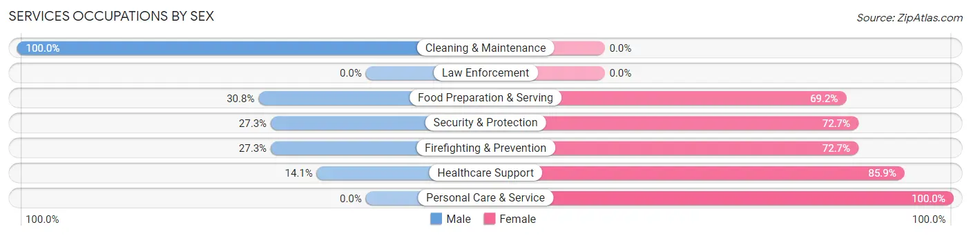 Services Occupations by Sex in Zip Code 52175