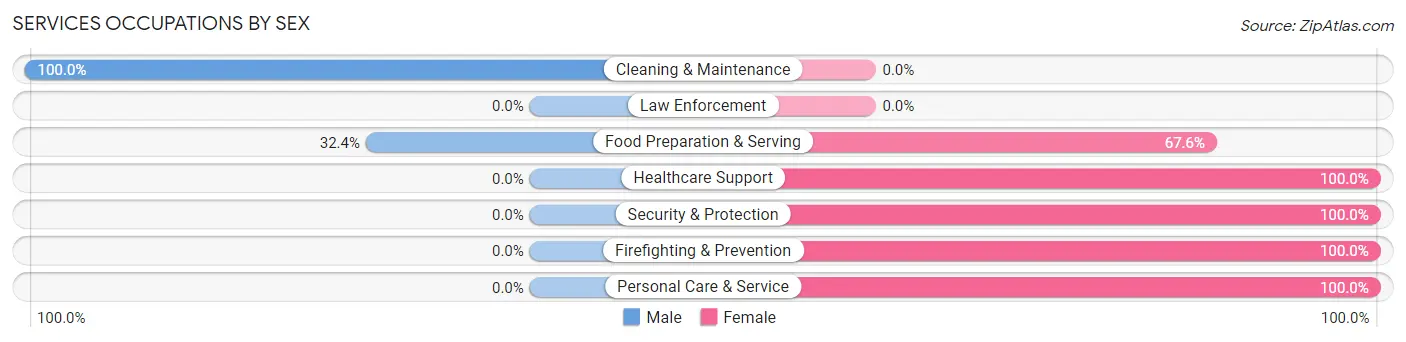Services Occupations by Sex in Zip Code 52203