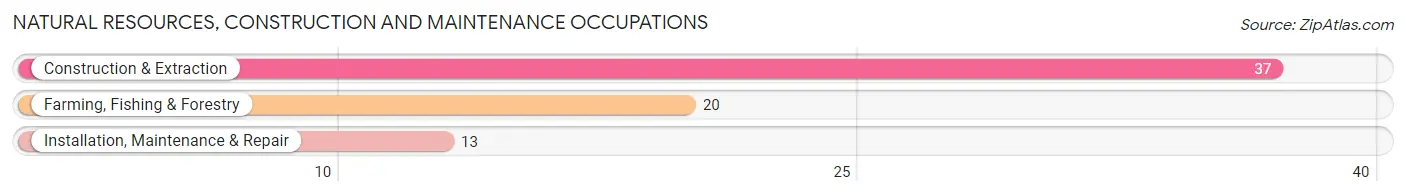 Natural Resources, Construction and Maintenance Occupations in Zip Code 52229