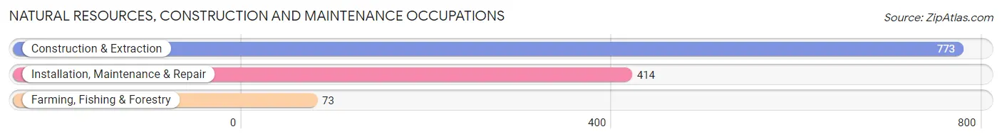 Natural Resources, Construction and Maintenance Occupations in Zip Code 52302